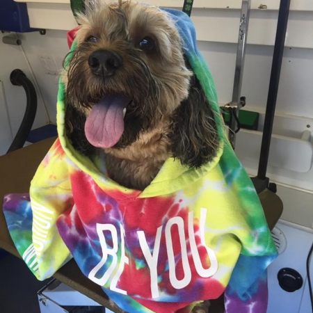 Happy Pups_105