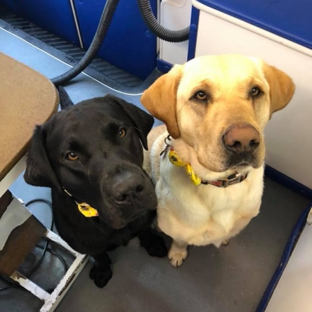 Happy Pups_107
