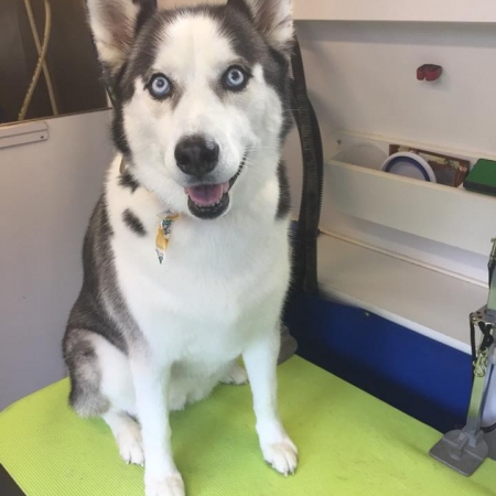Happy Pups_40
