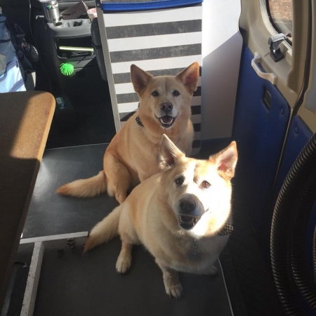 Happy Pups_74