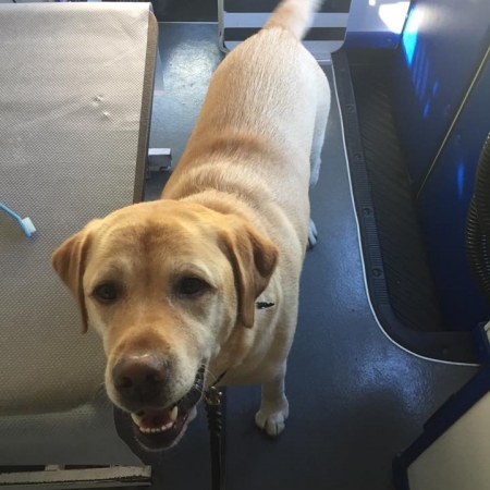 Happy Pups_7